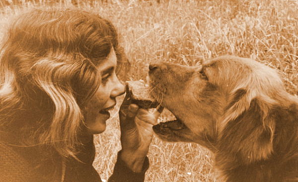 乔伊斯·维塞尔和她心爱的狗博基