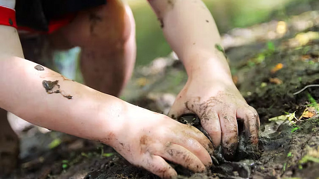 hands working in the soil