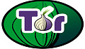 Securing Web Browsing: Protecting The Tor Network