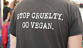 Why Vegan Activism Needs To Switch Gears